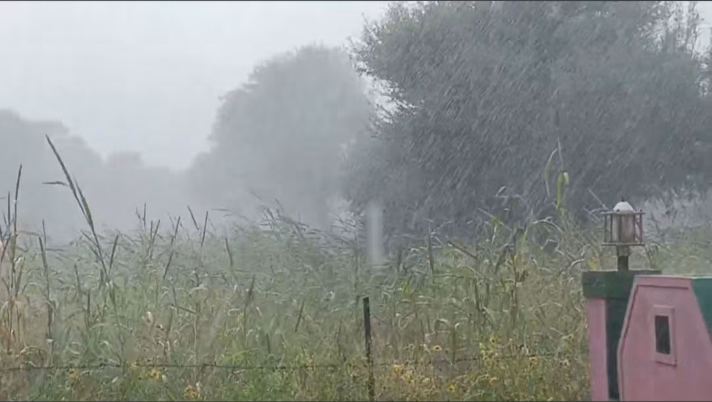 Reengus Weather News